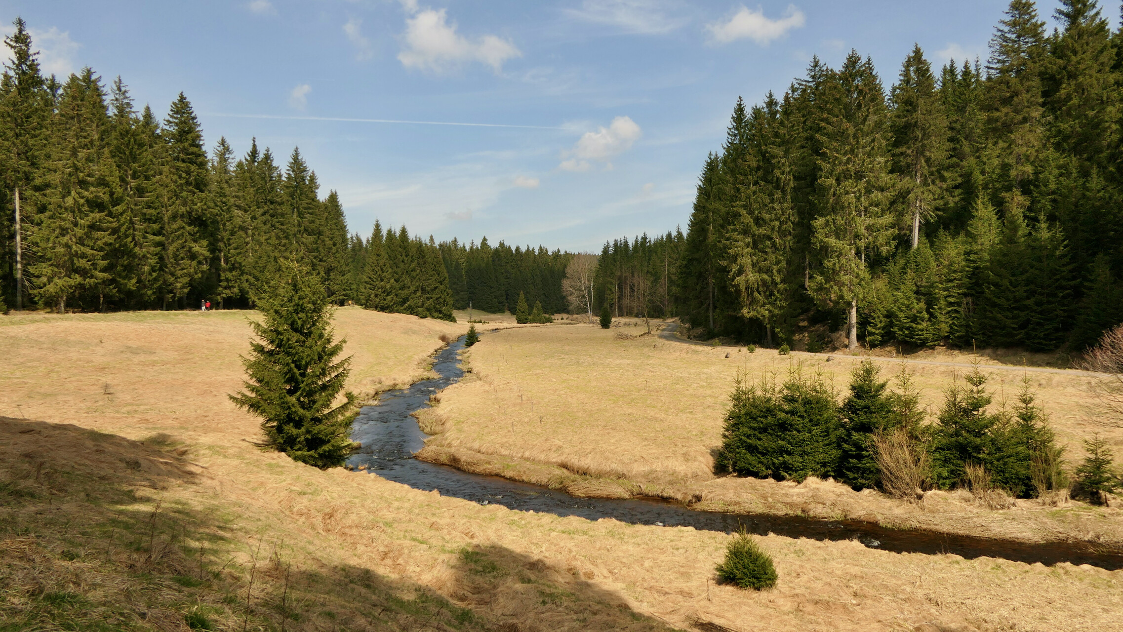 Schwarzwassertal