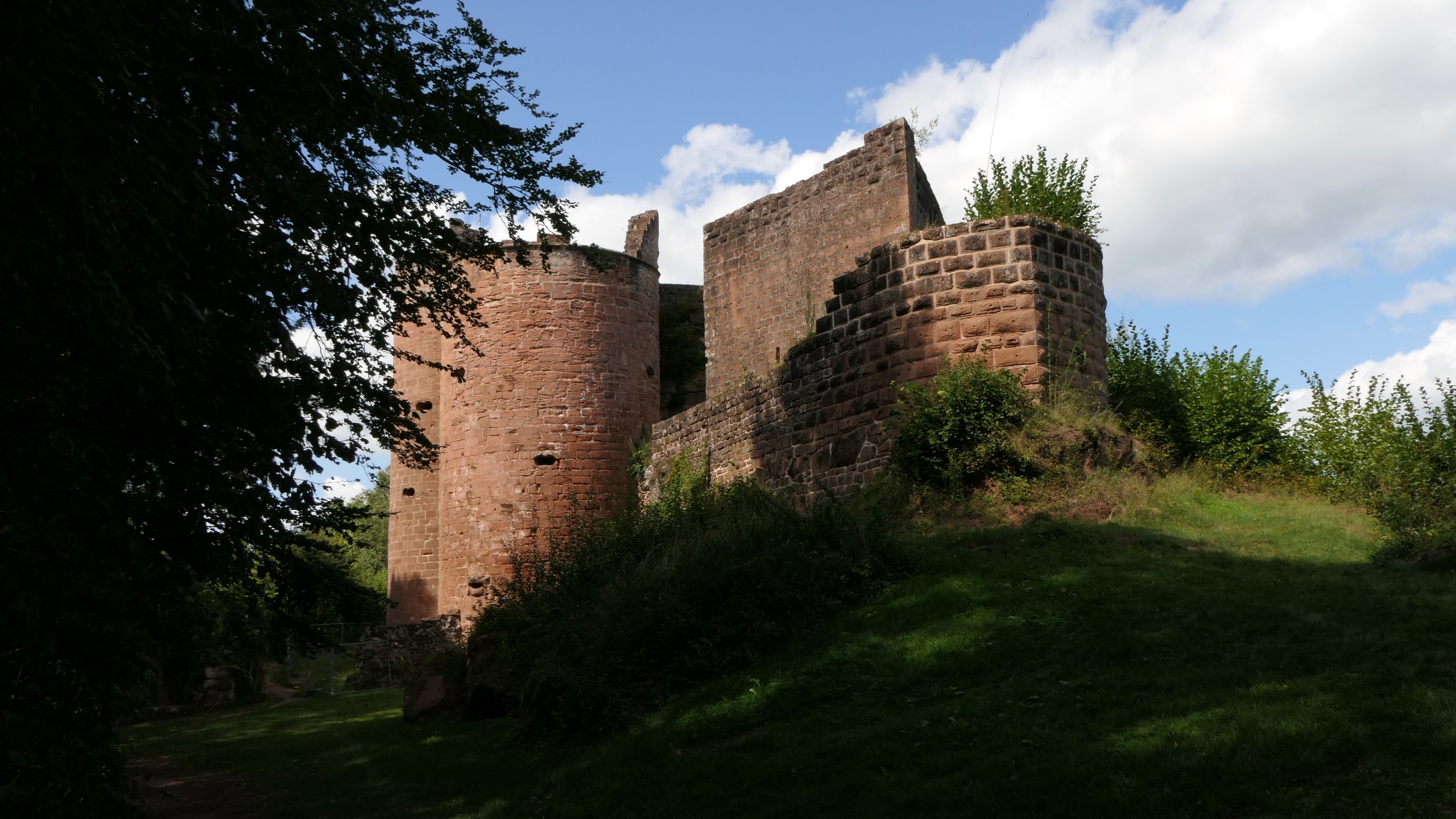 Burgruine Neudahn & Hexenpilz