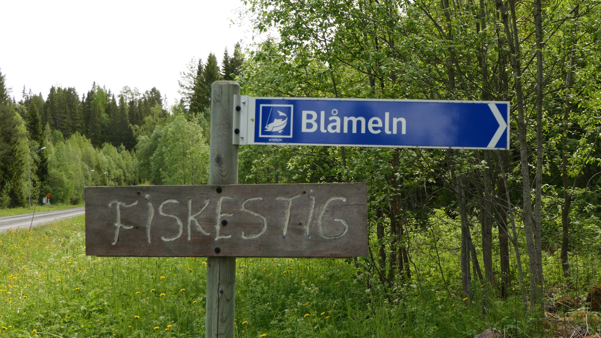 Fiskestig