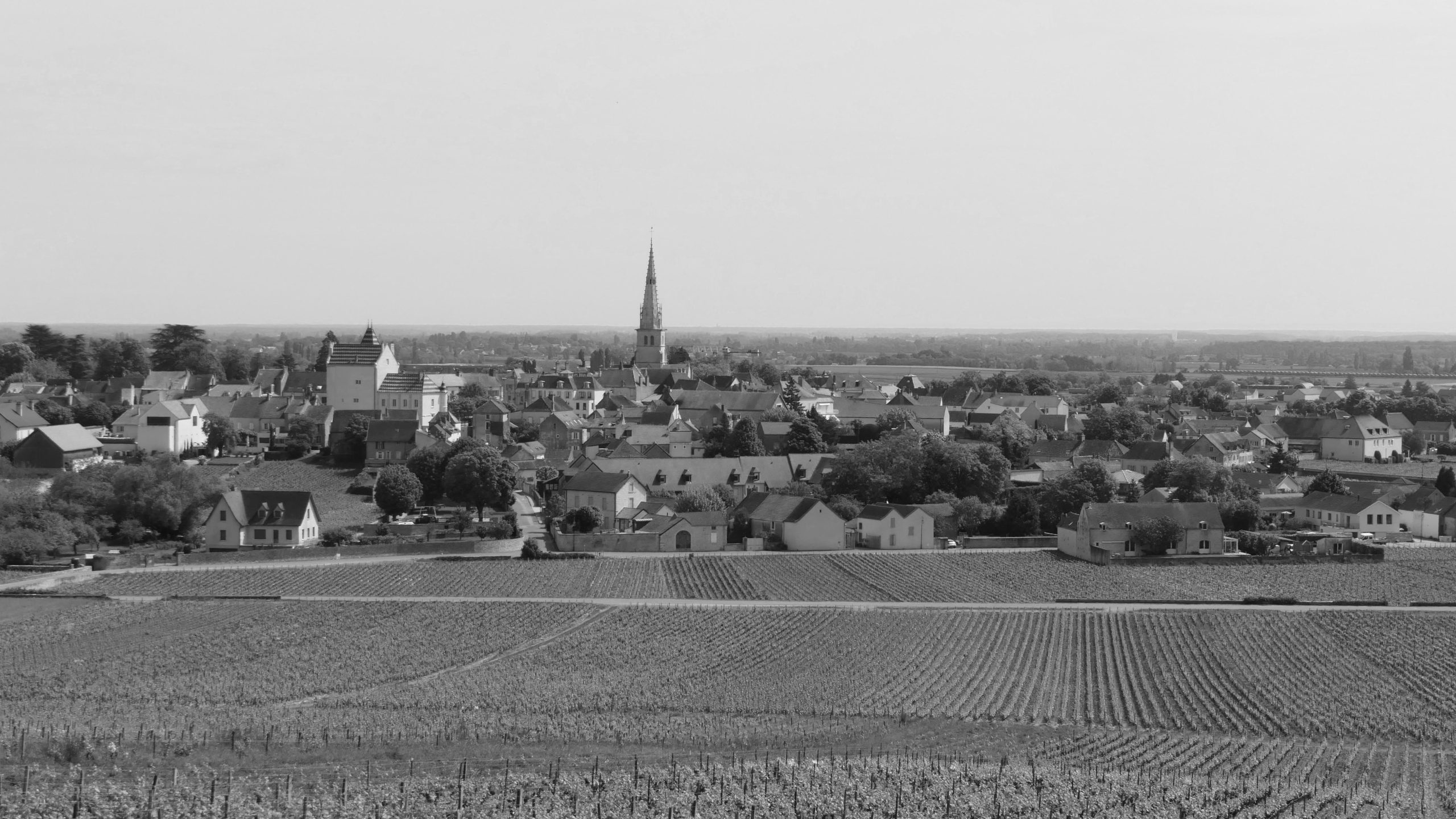 Summary: Meursault