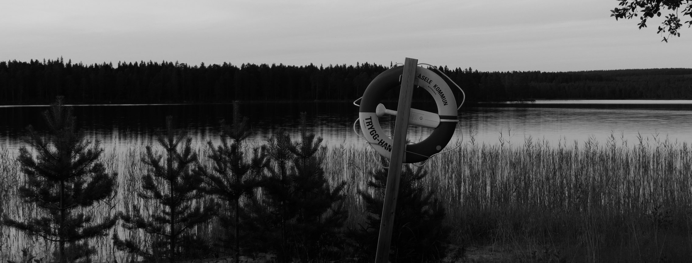 Summary: Fredrika