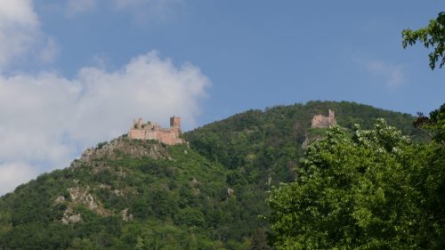 Wanderung: drei Burgen von Ribeauvillé