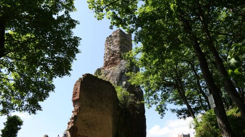 Wanderung: drei Burgen von Ribeauvillé