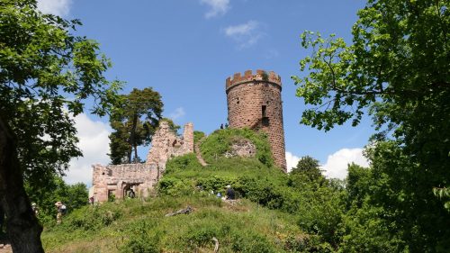 Wanderung: drei Burgen von Ribeauvillé