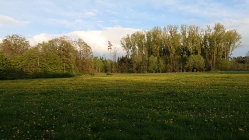 CP Frankenhöhe