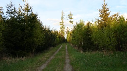 CP Frankenhöhe