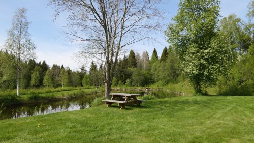 Camp Dammån