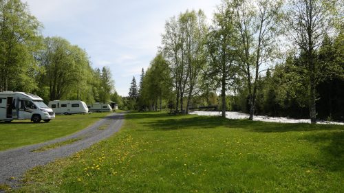 Camp Dammån