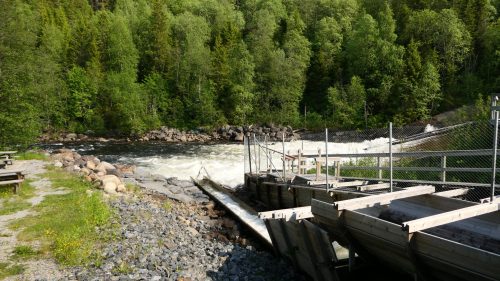 Fisktrappa