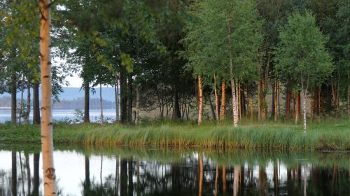 Fredrika Braber Camping