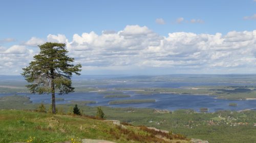 Gesundaberget