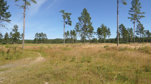 Hooks Golf Club