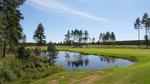 Hooks Golf Club