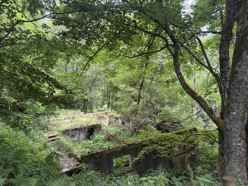 Hartmannswillerkopf