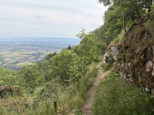 Hartmannswillerkopf
