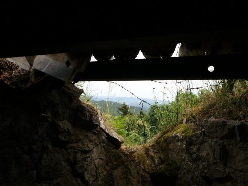 Hartmannswillerkopf