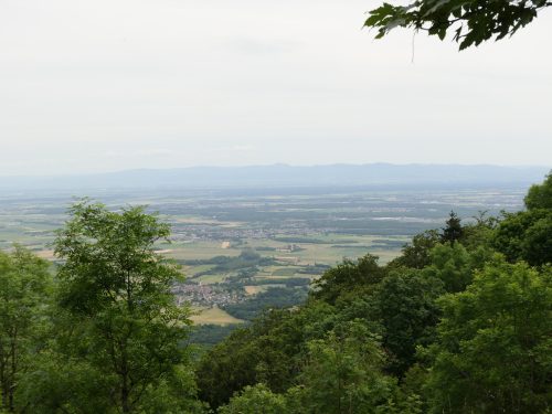 Hartmannswillerkopf