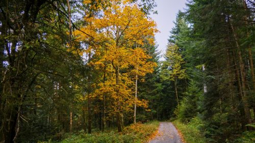 PSX 20251023 142511.jpg compressed