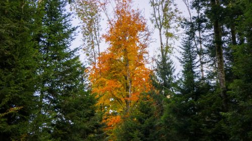 PSX 20251023 142539.jpg compressed