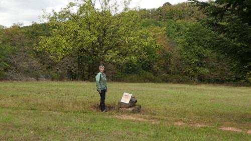 Keltischer Baumkreis