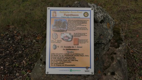 Keltischer Baumkreis