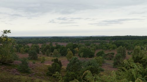 von Niederhaverbeck über den Wilseder Berg
