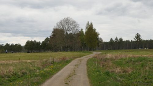 Lyngemadssjön Runt