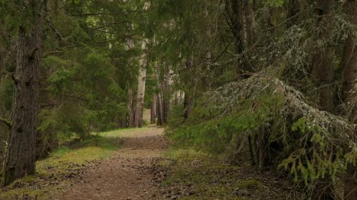 Lyngemadssjön Runt