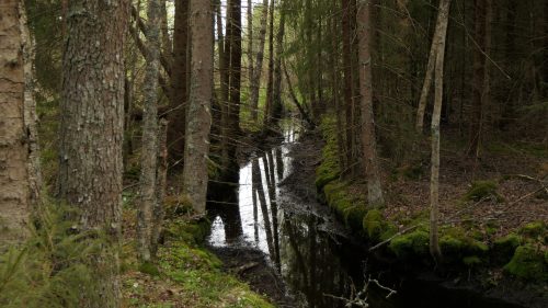 Lyngemadssjön Runt