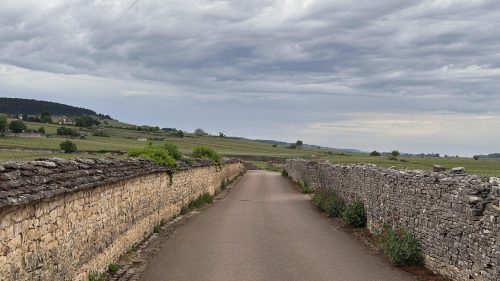 Meursault