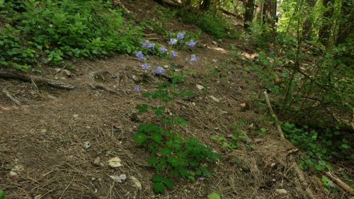 Streifzug durch die Weinberge