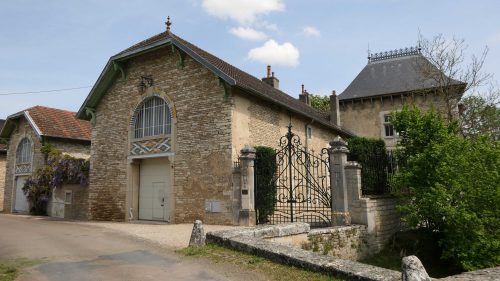 Streifzug durch die Weinberge