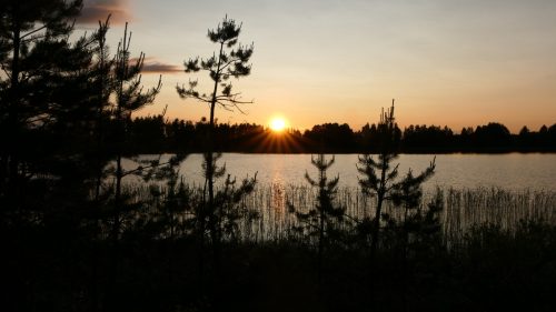 Mitternachtsstimmung