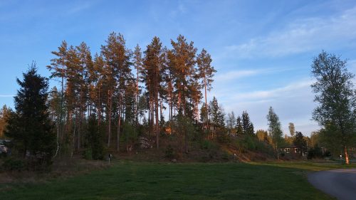 Naturcamping