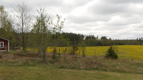 Naturcamping