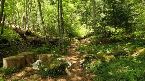 Rundweg um „les Allemands“