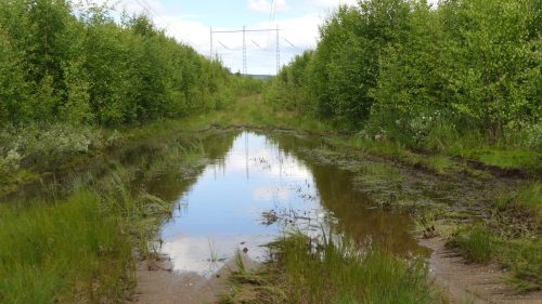 Staggbäcken Rundweg