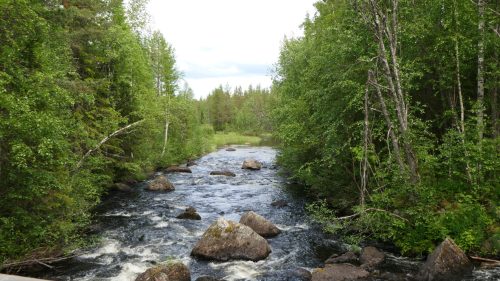 Staggbäcken Rundweg
