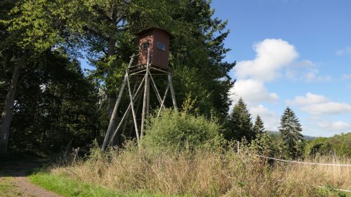 Traumschleife Mittelalterpfad