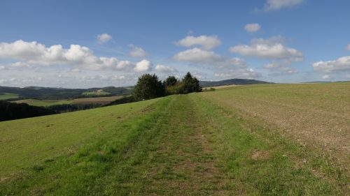 Traumschleife Mittelalterpfad
