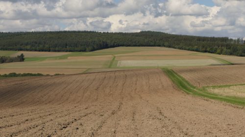 Traumschleife Mittelalterpfad