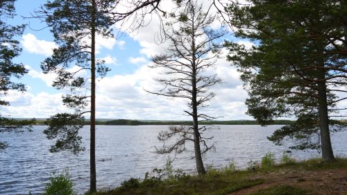 Venjanssjön