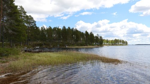 Venjanssjön