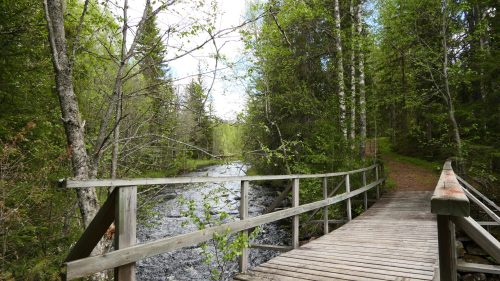 Venjanssjön