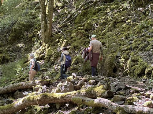 Wattwiller