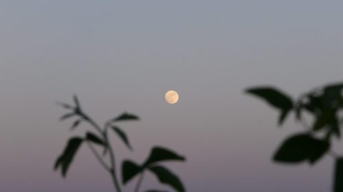 fünfter Vollmond