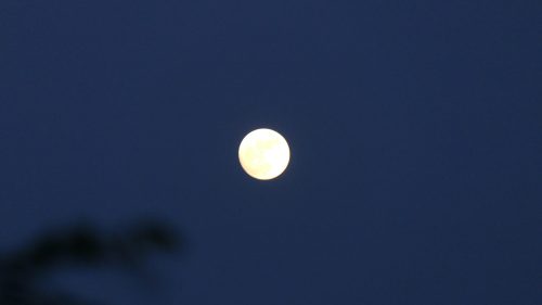 fünfter Vollmond