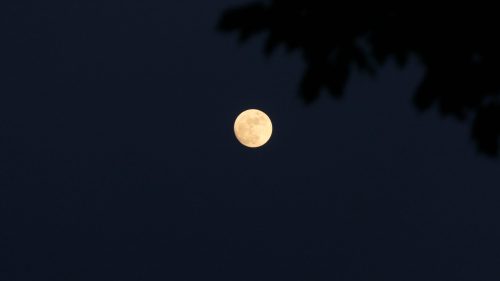 fünfter Vollmond
